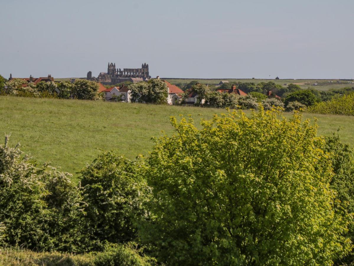 Danby Cottage Вітбі Екстер'єр фото